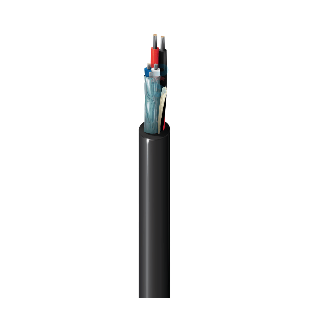 Belden 1502R, 20 AWG 2-Core Shielded Riser Cable